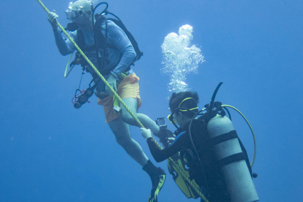 Scuba Diving Tips For Beginners - Diver 3