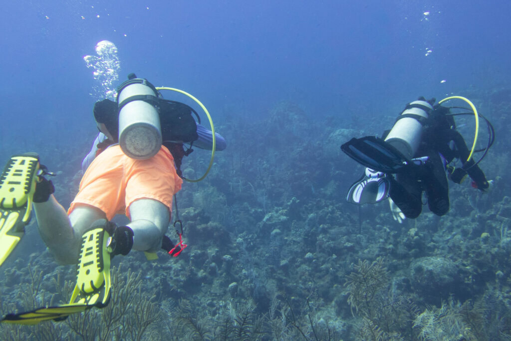 Buoyancy Control in Scuba Diving - Buddy Diving