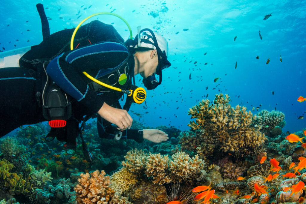 Scuba Diving in Palawan - diver and reef